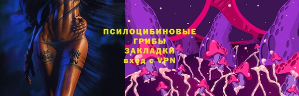 ПСИЛОЦИБИНОВЫЕ ГРИБЫ Абинск