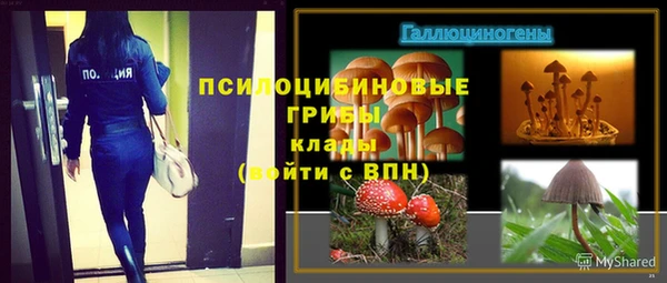 ПСИЛОЦИБИНОВЫЕ ГРИБЫ Абинск