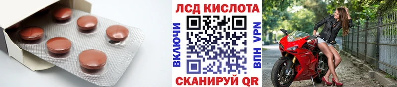 где продают наркотики  Алексин  LSD-25 экстази кислота 