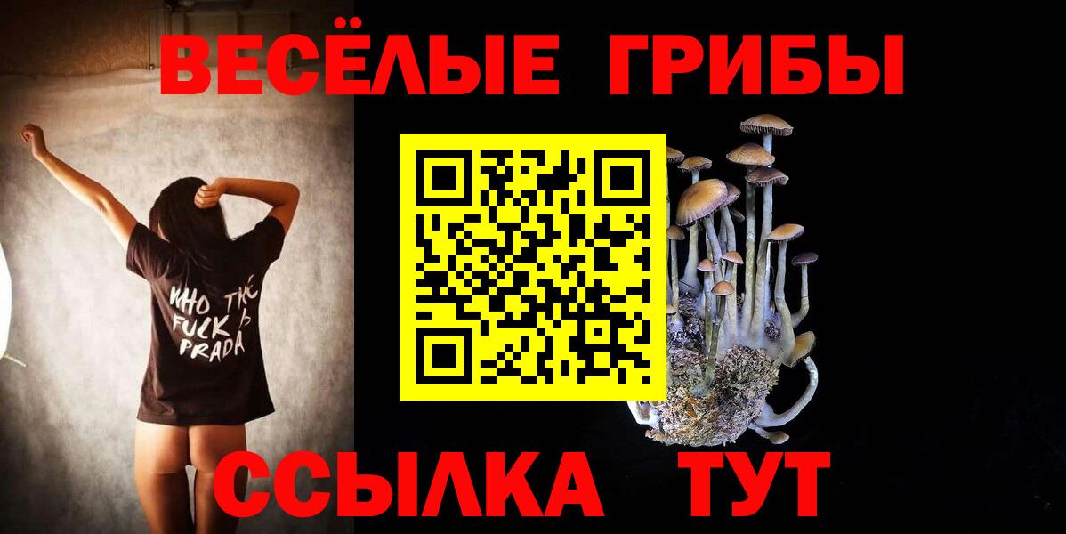 Псилоцибиновые грибы мицелий  Вход с VPN  наркошоп  Алексин 